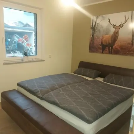 Apartment Pistenblick *